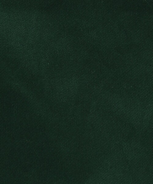 SHIPS（シップス）の「【WEB限定】SHIPS: Roots ビッグシルエット ワーク ショーツ（チノパンツ）」 - WEAR