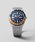 TIMEXi^CbNXj́uTIMEX TIMEX Q/^CbNX L[ rv TW2U61100 YiAiOrvjvblCr[
