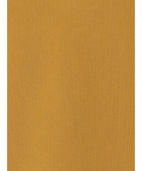 Te chichi(テチチ)の「パール釦スキッパーニットポロシャツ(ニット/セーター・レディース・ブラック/イエロー/オフホワイト・F)」の5枚目の写真