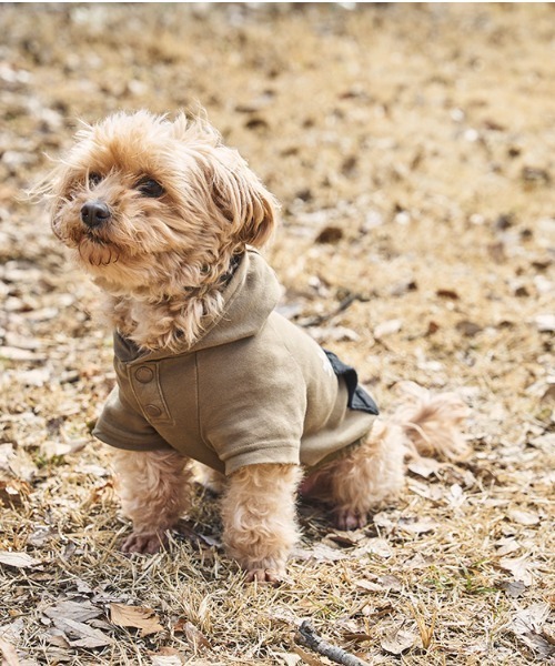 Snow Peak（スノーピーク）の「SP Dog Parka 犬服 ドッグウェア