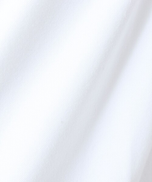 DANTON（ダントン）の「【DANTON/ダントン】ROUND COLLAR P.O SHIRT LS 25SS（シャツ/ブラウス・メンズ・ホワイト/キナリ/ブルー・40/42/44/38）」の19枚目の写真