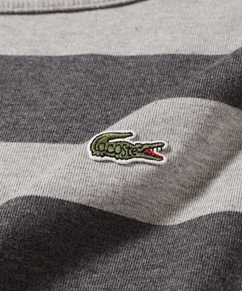 LACOSTE(ラコステ)の「【7/24値下げ】【WEB限定】【別注】LACOSTE / ボーダー ショートスリーブ Tシャツ(Tシャツ/カットソー・レディース・グレー/ブラック/レッド/ネイビー・36)」の14枚目の写真