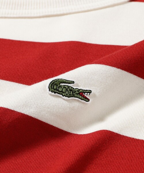 LACOSTE(ラコステ)の「【7/24値下げ】【WEB限定】【別注】LACOSTE / ボーダー ショートスリーブ Tシャツ(Tシャツ/カットソー・レディース・グレー/ブラック/レッド/ネイビー・36)」の21枚目の写真