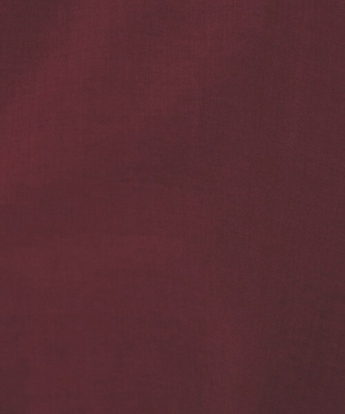 index(インデックス)の「《7色展開/XS-LLサイズ》タックスリーブスキッパーブラウス【洗濯機洗い可/吸水速乾/抗ピル/防シワ/イージーアイロン】(シャツ/ブラウス・レディース・ホワイト系9/チャコール/ボルドー/ブラウン系その他/ネイビー系5/ナチュラル/ブルー・34/36/38/40/42)」の22枚目の写真