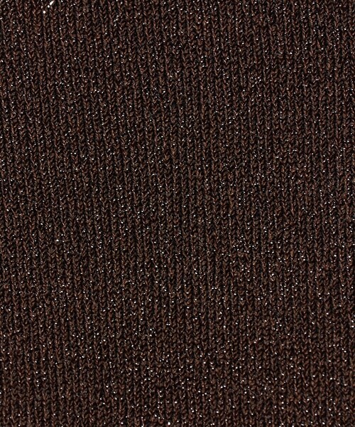 BEAUTY&YOUTH UNITED ARROWS（ビューティーアンドユースユナイテッドアローズ）の「ラメ ソックス（ソックス/靴下・レディース・ブラック/ブラウン系・FREE）」の3枚目の写真