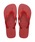 havaianas�i�n���C�A�i�X�j�́uTOP�i�T���_���j�v�b���b�h