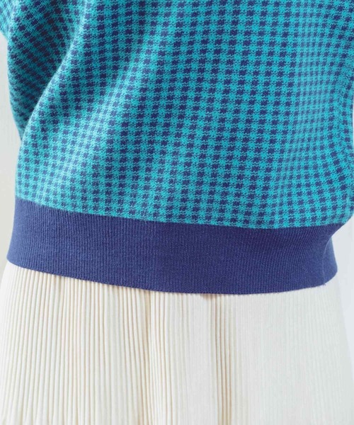 Clice de Paris（クリシェドゥパリス）の「K/衿付きチェックトップス（Tシャツ/カットソー・レディース・グリーン/ブラック・ONESIZE）」の14枚目の写真