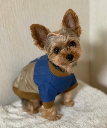 SVEC（シュベック）の「別注 MA-1 ドッキングブルゾン ドッグウェア / 犬 服（ペットウェア）」