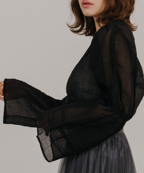 IROHANI(イロハニ)の「ギャザーデザインシアーブラウス(シャツ/ブラウス・レディース・ブルー/ブラック・FREE)」の13枚目の写真