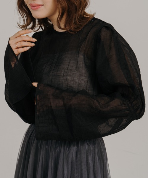 IROHANI(イロハニ)の「ギャザーデザインシアーブラウス(シャツ/ブラウス・レディース・ブルー/ブラック・FREE)」の8枚目の写真