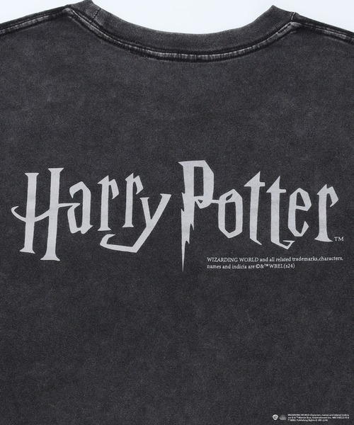 WEB限定】HP P/W GRAPHIC S/S TEE / ヴィンテージライク