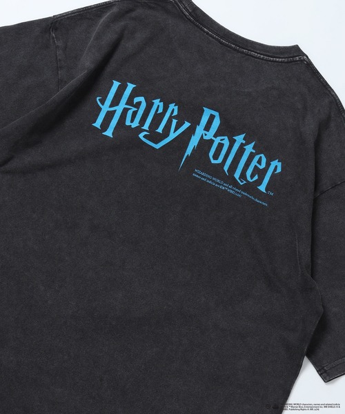 WEB限定】HP P/W GRAPHIC S/S TEE / ヴィンテージライク ショート