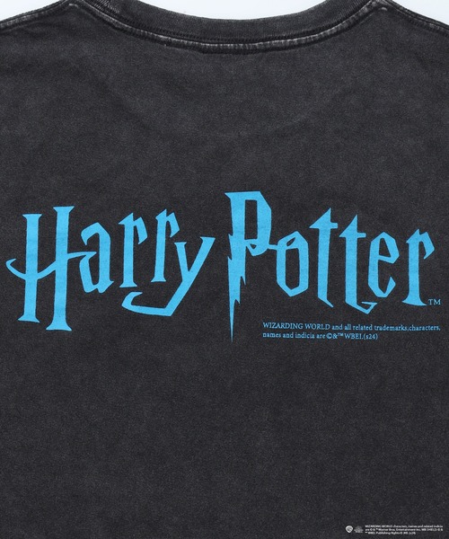 WEB限定】HP P/W GRAPHIC S/S TEE / ヴィンテージライク