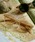 DULTONi_gj́uGLASSES WITH COLOR BOSTON ROUND/ OX EBY J[Y {XgEhiTOXjvbx[Wn1