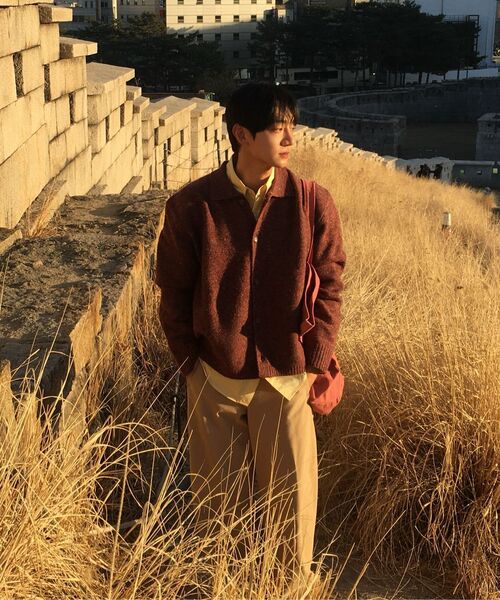 NOUN(ノウン)の「nep yarn collar cardigan (wine)(カーディガン/ボレロ・メンズ・その他・1/2)」の3枚目の写真