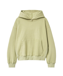 Coast Hoodie(Sage Green)