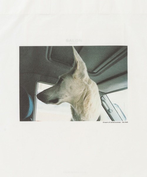 SALON adam et rope'(サロン アダム エ ロペ)の「【Alec Soth(アレック・ソス)】フォトトートバッグ(トートバッグ・レディース・ホワイト系その他2/ホワイト系その他4/ホワイト・FREE)」の19枚目の写真