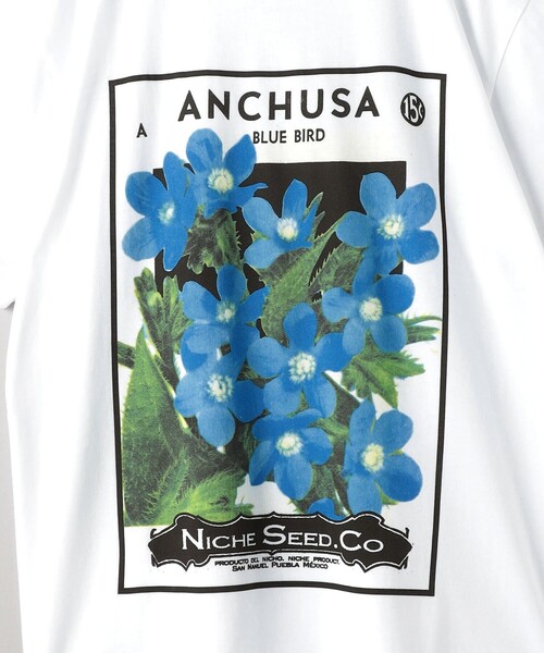 niche.(ニッチ)の「<Niche.> FLOWERSEEDS TEE ANC(Tシャツ/カットソー・メンズ・ホワイト・M/L)」の5枚目の写真