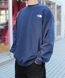 【THE NORTH FACE】ノースフェイス M EVOLUTION MOCK NECK SWEATSHIRT モックネック トレーナー NF0A84GB