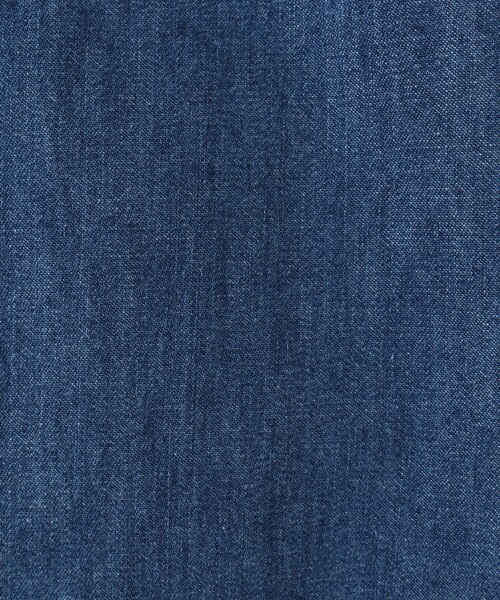 DANTON(ダントン)の「【DANTON/ダントン】DOT BUTTON B.D. SHIRT LS 25SS(シャツ/ブラウス・メンズ・インディゴブルー/ブルー・40/42/44)」の11枚目の写真