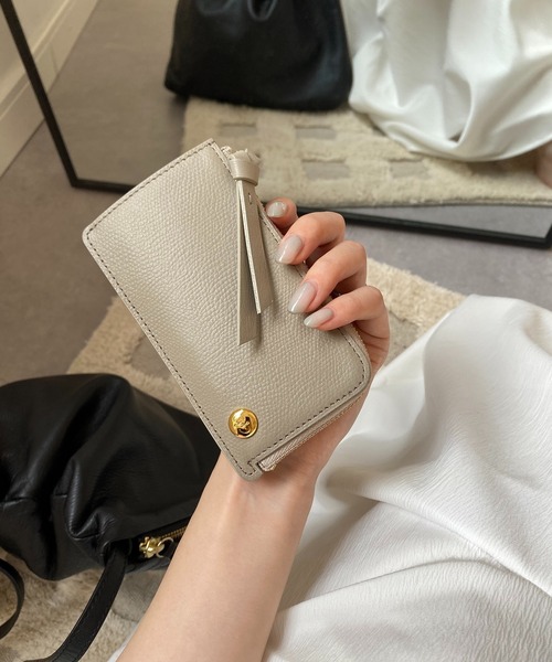 gemeil フラグメントケース セール】ミニマルフラグメントケース(SO-425)（パスケース