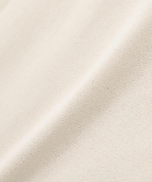 DENHAM（デンハム）の「DENHAM/デンハム/WTDC TEE Jeans Jersey（Tシャツ/カットソー・メンズ・ネイビー/ホワイト・S/M/L/XL）」の20枚目の写真