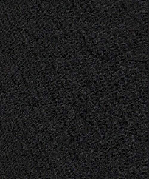 JAMES PERSE(ジェームスパース)の「コットンジャージー クルーネックTシャツ MBEL3614(Tシャツ/カットソー・メンズ・ホワイト/ブラック・1/2/0)」の9枚目の写真