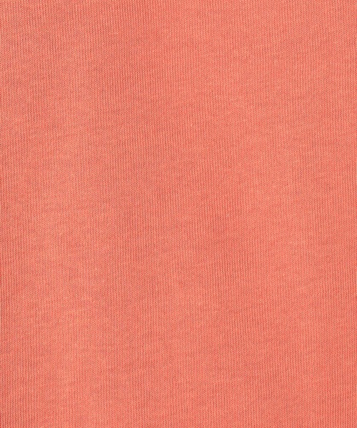 DISCUS(ディスカス)の「DISCUS(ディスカス)×GrandPARK(グランドパーク)別注ロングスリーブTシャツ(Tシャツ/カットソー・メンズ・グレー/グリーン/レッド/ベージュ/イエロー/チャコールグレー・LARGE/MEDIUM)」の11枚目の写真