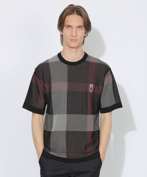 BLACK LABEL CRESTBRIDGE(ブラックレーベル・クレストブリッジ)の「【WEB限定】クレストブリッジチェックメッシュニットTシャツ(Tシャツ/カットソー・メンズ・ブラック・L/M/XL)」の1枚目の写真