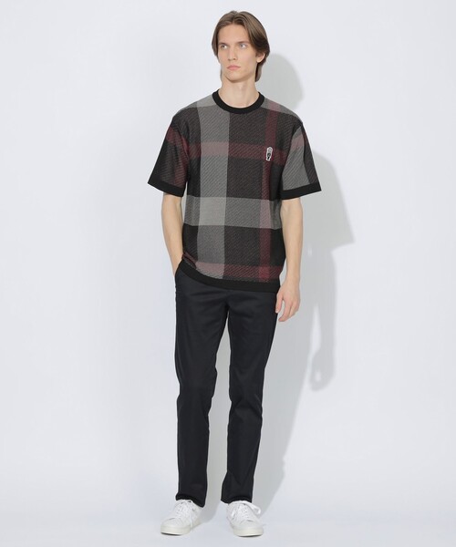 BLACK LABEL CRESTBRIDGE(ブラックレーベル・クレストブリッジ)の「【WEB限定】クレストブリッジチェックメッシュニットTシャツ(Tシャツ/カットソー・メンズ・ブラック・L/M/XL)」の7枚目の写真