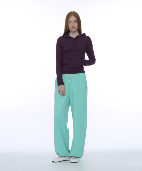 PARTIMENTO WOMEN(パルティメントウィメン)の「PWC ヘンリーネックフードロングTシャツ_プラム(パーカー・レディース・その他・SMALL/MEDIUM/LARGE)」の1枚目の写真