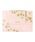 PAUL&JOEi|[AhW[j́u^ubg X^htX[uP[X 11C`/|[  W[ fW^C }[NXiPCE^ubgP[XjvbsN