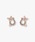 ANNA SUI�i�A�i�X�C�j�́u�n�����`�[�t �C�������O�i�C�������O�j�v�b�s���N