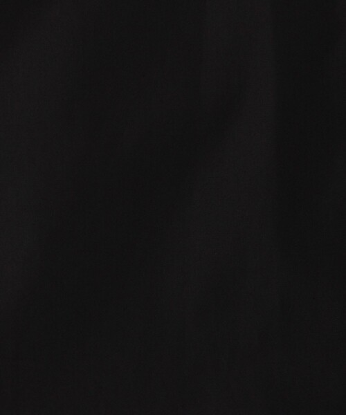 EDITION（エディション）の「THOMAS MASON タイシャツ（シャツ/ブラウス・レディース・ライトブルー/ブラック/ホワイト・36/34）」の13枚目の写真