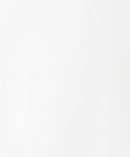 EDITION（エディション）の「THOMAS MASON タイシャツ（シャツ/ブラウス・レディース・ライトブルー/ブラック/ホワイト・36/34）」の14枚目の写真