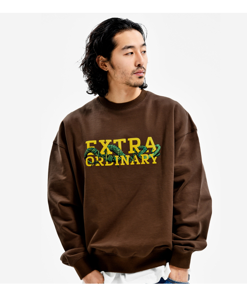TWISTED CREWNECK BROWN（スウェット）｜EXTRAORDINARY（エクストラ 