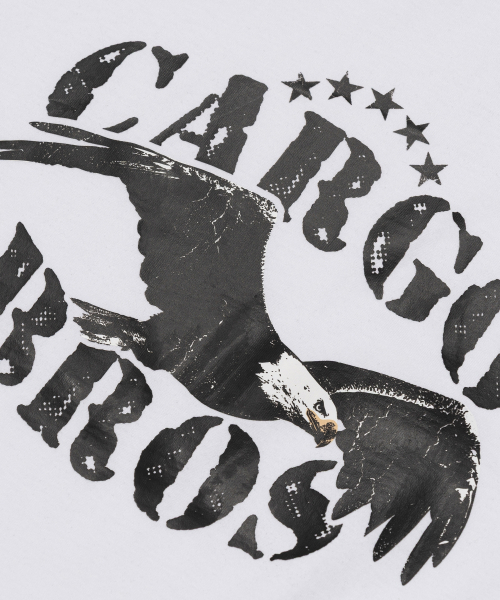 CARGOBROS(カーゴブロス)の「(ビッグサイズ) アメリカンヴィンテージ イーグル 半袖Tシャツ (ホワイト)(Tシャツ/カットソー・メンズ・その他・FREE)」の9枚目の写真
