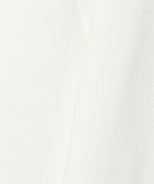 A DAY IN THE LIFE UNITED ARROWS（アデイインザライフユナイテッドアローズ）の「フラワー アートプリント リラックスカットソー＜A DAY IN THE LIFE＞（Tシャツ/カットソー・メンズ・その他1/その他2・M/L）」の11枚目の写真