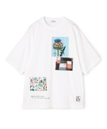 スビンコットン THISTLE RHYTHMTシャツ