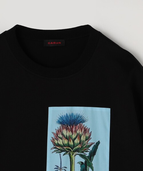 caban(キャバン)の「スビンコットン THISTLE RHYTHMTシャツ(Tシャツ/カットソー・メンズ・ホワイト系その他/ブラック系その他・S/M/L)」の5枚目の写真