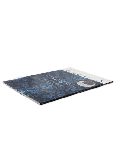 Ray BEAMS（レイビームス）の「archi / 2011 AUTUMN & WINTER  ムック本（本・レディース・その他1・ONE SIZE）」の4枚目の写真