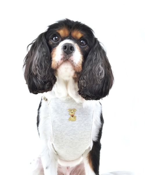 Whcy ウォームハート ソフトハーネス オーガニックコットン M 犬グッズ リード ハーネス 首輪 Whcy ダブルエイチシーワイ のファッション通販 Zozotown Whcy ウォームハート ソフトハーネス オーガニックコットン M 犬グッズ リード ハーネス 首輪 Whcy ダブルエイチシーワイ のファッション通販 Zozotown