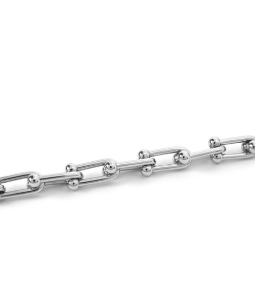 LHME（エルエイチエムイー）の「LHME “Moment”リンクホースシューチェーンネックレス/サージカルステンレス316L（金属アレルギー対応）（ネックレス・レディース・シルバー・40cm）」の6枚目の写真