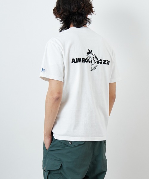 tシャツ 「THE ENDLESS SUMMER/エンドレスサマー」 別注 TES CAL フロッキーロゴプリントTシャツ レディース メンズ The Endless Summer tシャツ 「THE ENDLESS SUMMER/エンドレス