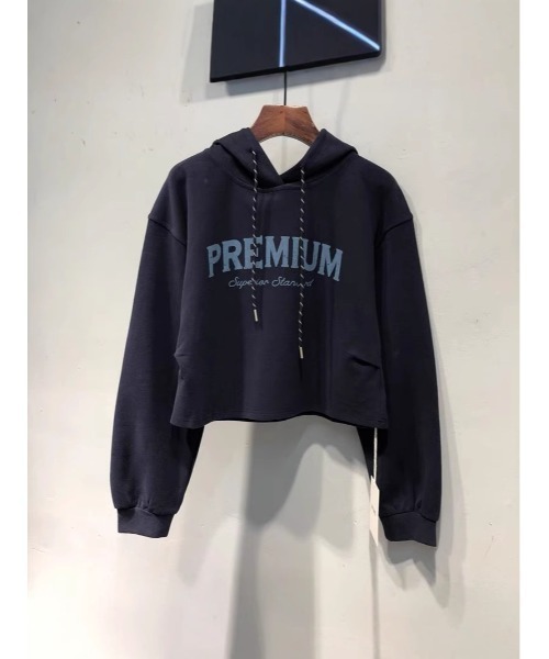 Ritzy(リッツィー)の「フード付き クルーネックパーカー(パーカー・レディース・グレー/ベージュ/ネイビー・M/L)」の1枚目の写真