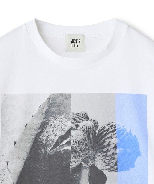 MEN'S BIGI(メンズビギ)の「【THE FASCINATED/ザ ファシネイテッド】コラボ サボテンブルーグラフィックTシャツ(Tシャツ/カットソー・メンズ・ホワイト系その他・03/02)」の7枚目の写真