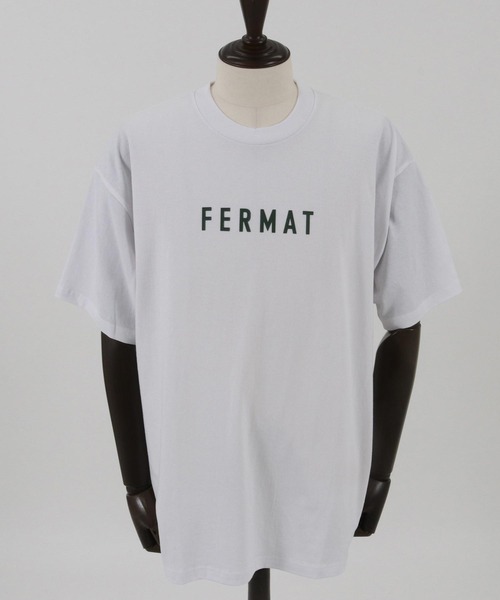 THEOREM(セオレム)の「mt8985- FERMAT Tee Tシャツ(Tシャツ/カットソー・メンズ・ホワイト×グリーン/ホワイト×ブラック/ホワイト系その他/ホワイト×ブラウン・S/M/L/XL/XS/XXL)」の18枚目の写真