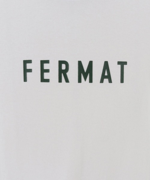 THEOREM(セオレム)の「mt8985- FERMAT Tee Tシャツ(Tシャツ/カットソー・メンズ・ホワイト×グリーン/ホワイト×ブラック/ホワイト系その他/ホワイト×ブラウン・S/M/L/XL/XS/XXL)」の17枚目の写真