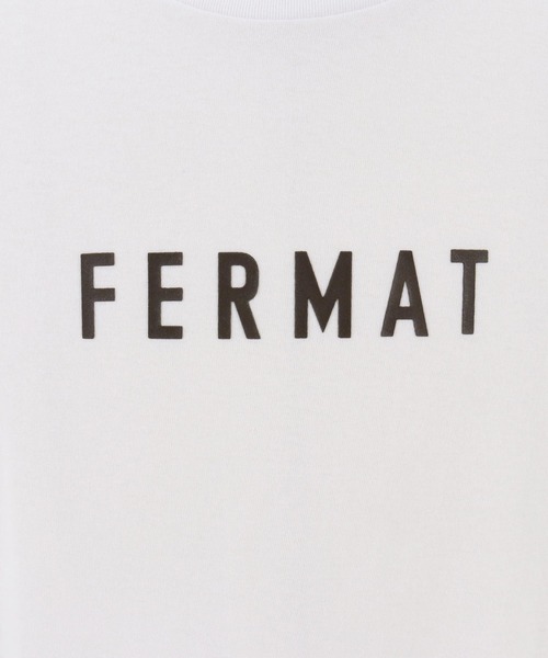 THEOREM(セオレム)の「mt8985- FERMAT Tee Tシャツ(Tシャツ/カットソー・メンズ・ホワイト×グリーン/ホワイト×ブラック/ホワイト系その他/ホワイト×ブラウン・S/M/L/XL/XS/XXL)」の15枚目の写真