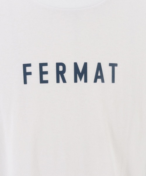THEOREM(セオレム)の「mt8985- FERMAT Tee Tシャツ(Tシャツ/カットソー・メンズ・ホワイト×グリーン/ホワイト×ブラック/ホワイト系その他/ホワイト×ブラウン・S/M/L/XL/XS/XXL)」の13枚目の写真